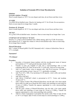 Isolation of Genomic DNA from Mycobacteria
