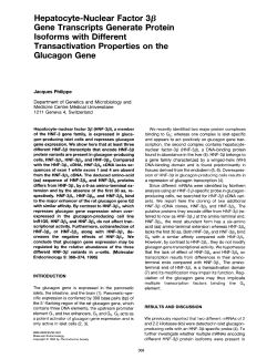 Hepatocyte-Nuclear Factor 3p Gene Transcripts Generate Protein