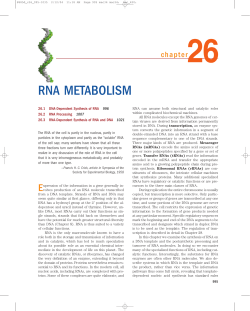 RNA METABOLISM