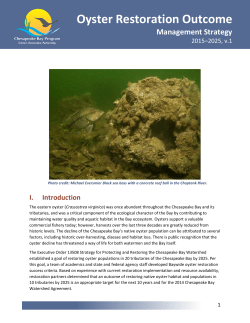 Oyster Restoration Outcome Management Strategy