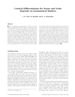Cortical Differentiation for Nouns and Verbs Depends on