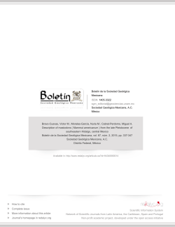 from the late Pleistocene of southeastern Hidalgo, central