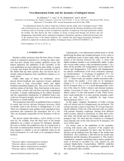 Two-dimensional froths and the dynamics of biological tissues