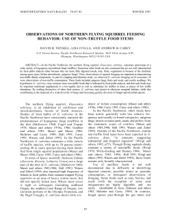 observations of northern flying squirrel feeding behavior