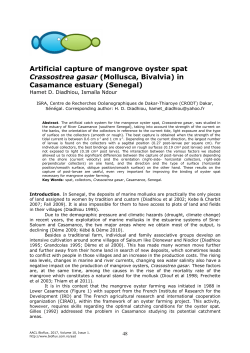 Artificial capture of mangrove oyster spat Crassostrea gasar