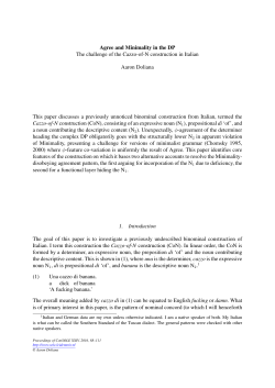 Agree and Minimality in the DP The challenge of the Cazzo-of