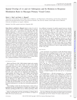 Spatial Overlap of ON and OFF Subregions and Its Relation to