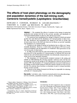 The effects of host plant phenology on the demography and