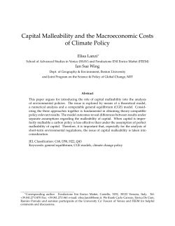 Capital Malleability and the Macroeconomic Costs