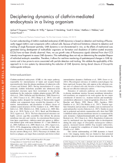 Deciphering dynamics of clathrin-mediated endocytosis in a living