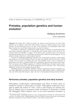 Primates, population genetics and human evolution1
