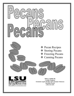 Pecan Recipes Storing Pecans Freezing Pecans