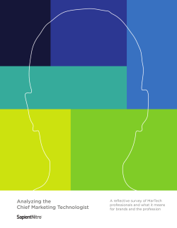 Analyzing the Chief Marketing Technologist