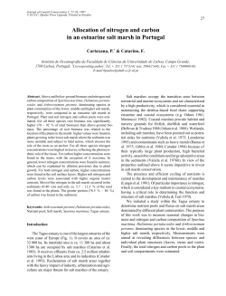 Allocation of nitrogen and carbon in an estuarine salt marsh in