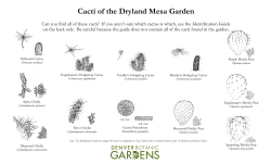 Cacti of the Dryland Mesa Garden
