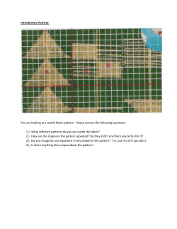 Introductory Activity: You are looking at a textile fabric pattern