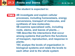 21.3 Roots and Stems