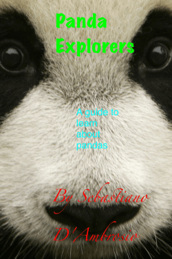 Panda explorers