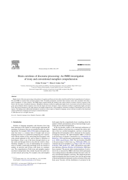 Brain correlates of discourse processing