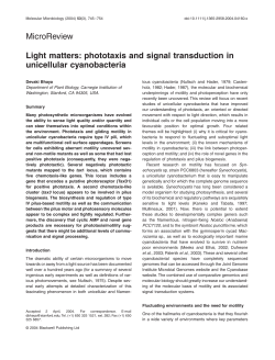 MicroReview Light matters: phototaxis and signal transduction in