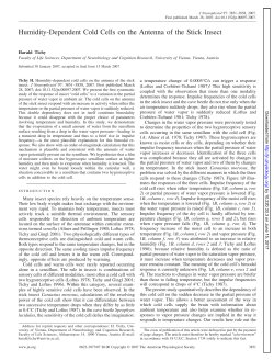 Humidity-Dependent Cold Cells on the Antenna of the Stick Insect