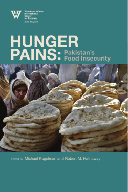 Hunger Pains: Pakistan`s Food Insecurity