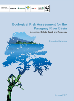 Ecological Risk Assessment for the Paraguay River Basin