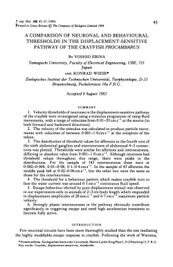 A COMPARISON OF NEURONAL AND BEHAVIOURAL