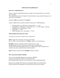 1 DINOSAUR PALEOBIOLOGY How do we weigh dinosaurs? There