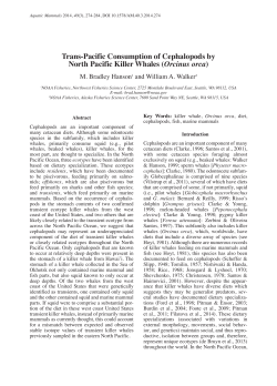 Trans-Pacific Consumption of Cephalopods by North Pacific Killer
