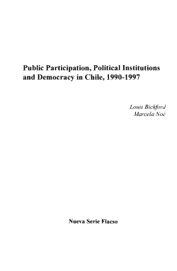Public Participation, Political Institutions and Democracy in Chile