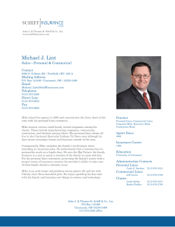 Michael J. Lint - Schiff Insurance