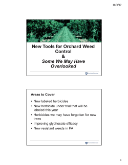 New Tools for Orchard Weed Control