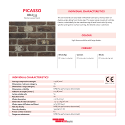 Technical brochure Picasso PDF File, 1.2MB