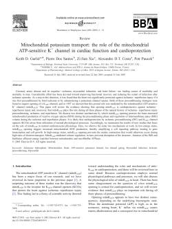 Mitochondrial potassium transport: the role of the mitochondrial ATP