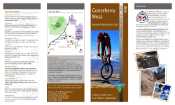 Gooseberry Mesa - City of Hurricane