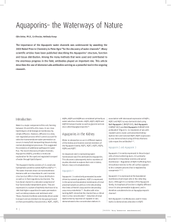 Aquaporins&ndash; the Waterways of Nature