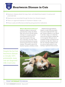 Heartworm Disease in Cats - Today`s Veterinary Technician