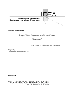 Low Cost Bridge Pile Inspection Technology