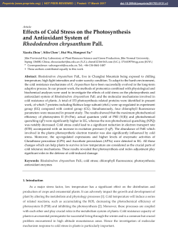Effects of Cold Stress on the Photosynthesis and Antioxidant System