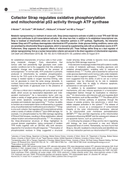 Cofactor Strap regulates oxidative phosphorylation and