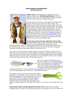 Lake Superior Smallmouth