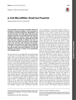 b-Cell MicroRNAs: Small but Powerful - Diabetes