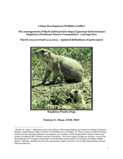 1 Urban Development/Wildlife Conflict The management of black