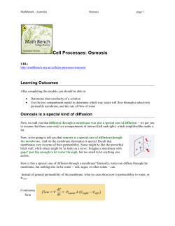 Cell Processes: Osmosis