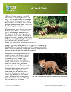 A Food Chain - Discovery Education