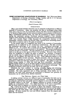 some locomotory adaptations in mammals.