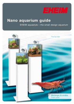 Nano aquarium guide