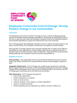 Chicago ECF guidelines