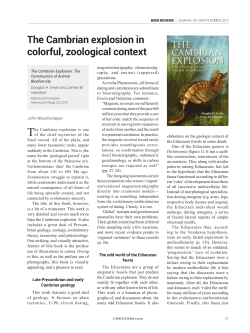 The Cambrian explosion in colorful, zoological context